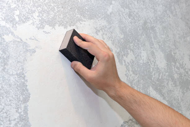 Professional Mold Removal in Avenal, CA