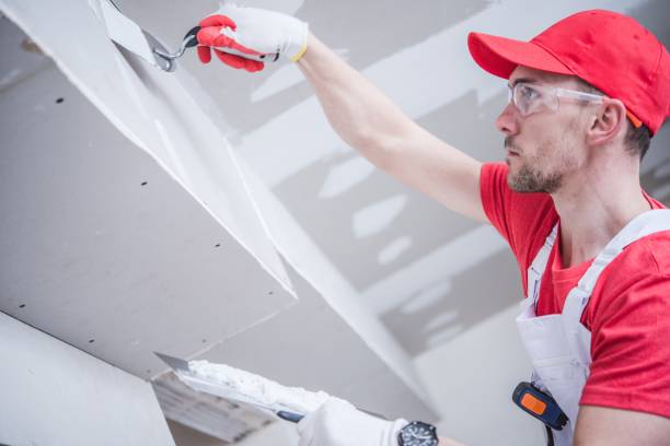 Best Attic Mold Removal  in Avenal, CA